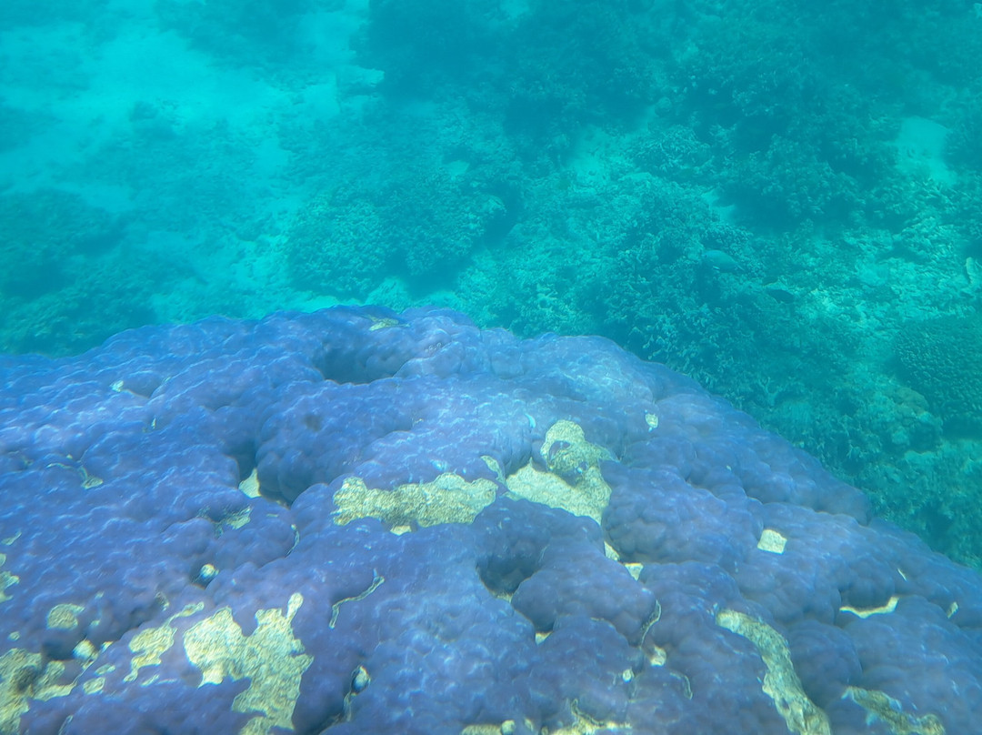 View Ningaloo-埃克斯茅斯必去景点