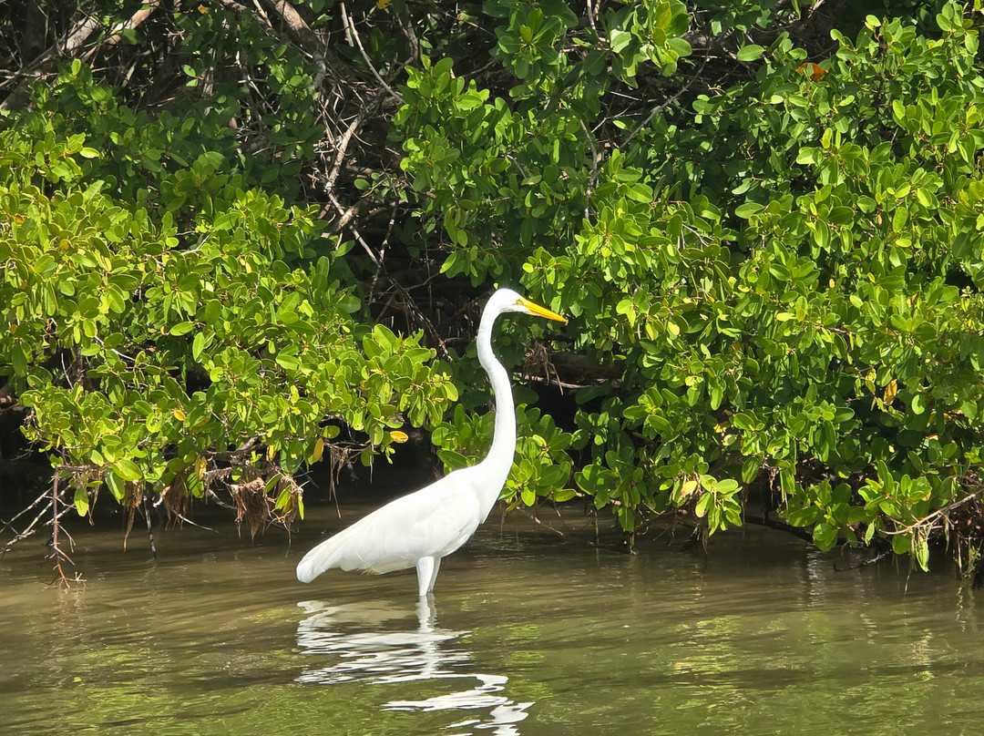 Guia Naturalista William Canto-里奥拉加托斯必去景点