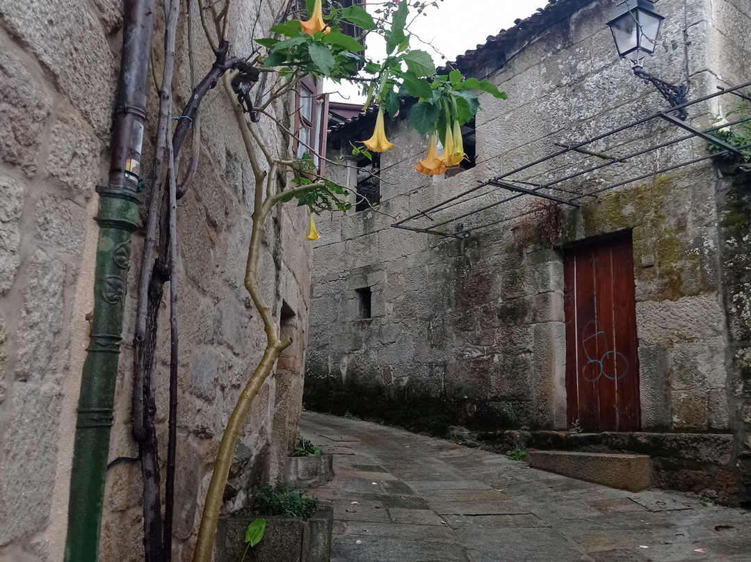 Historic Old Town-Combarro必去景点