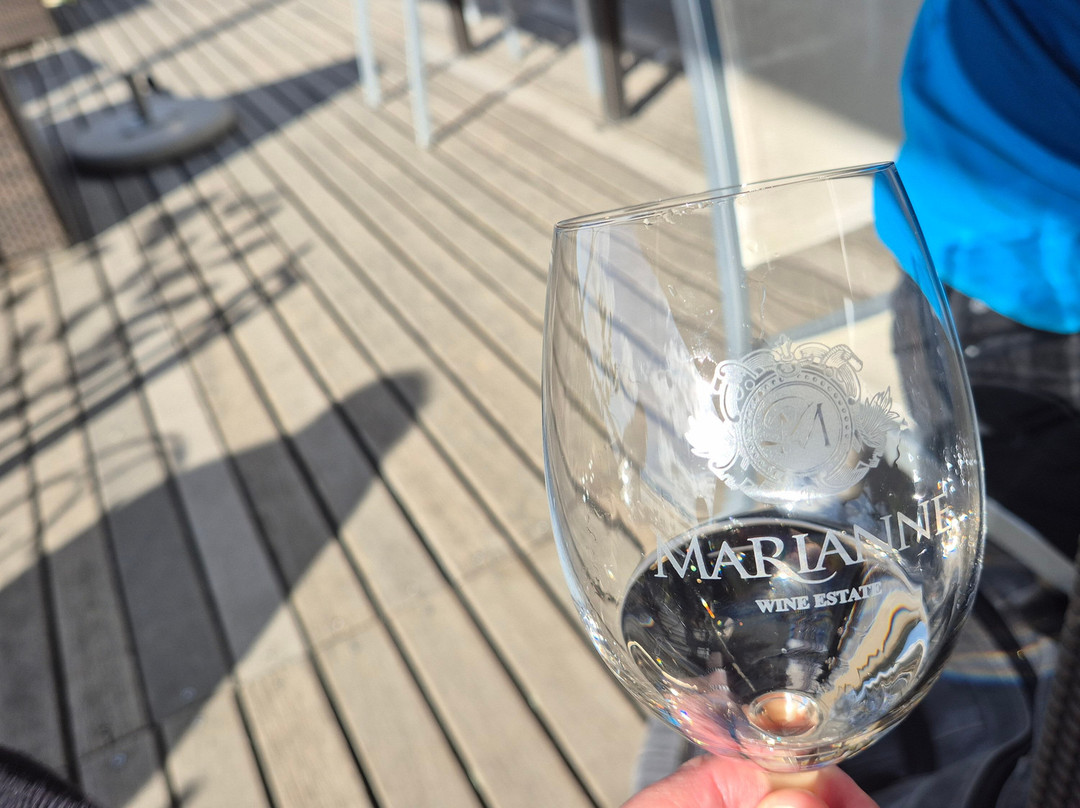 Glorious Cape Tours-开普敦中心区必去景点