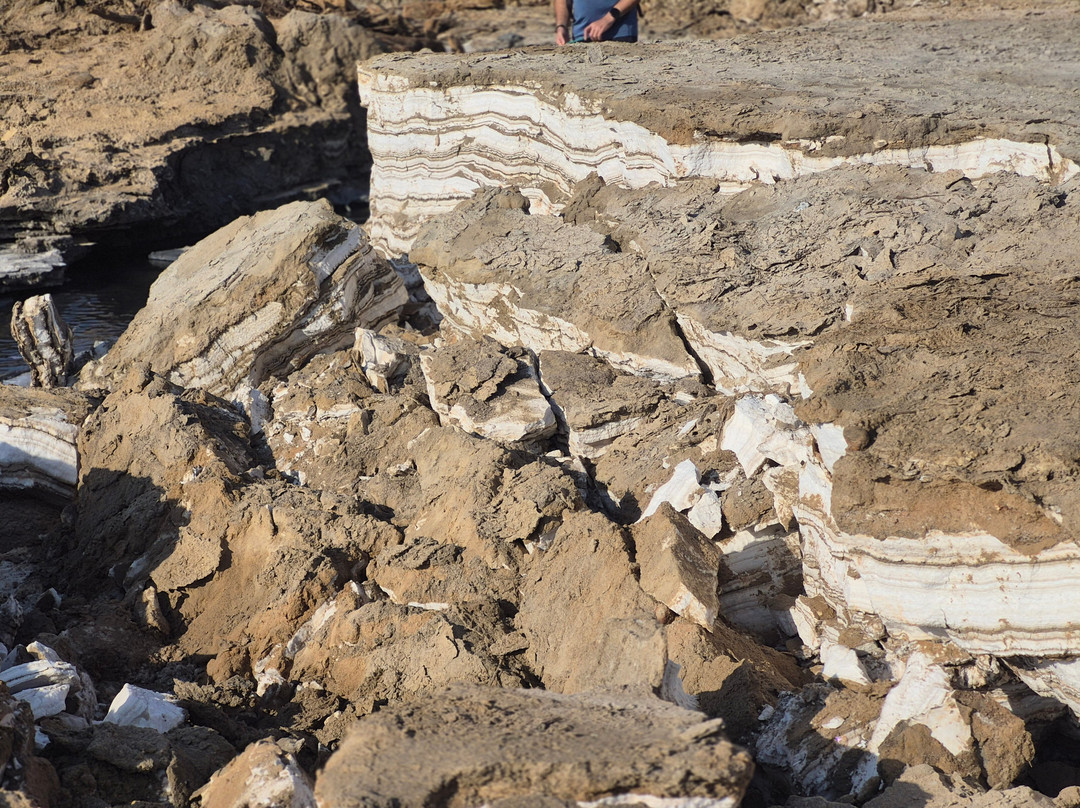 Tiyoolim & Etgarim-Bat Yam必去景点