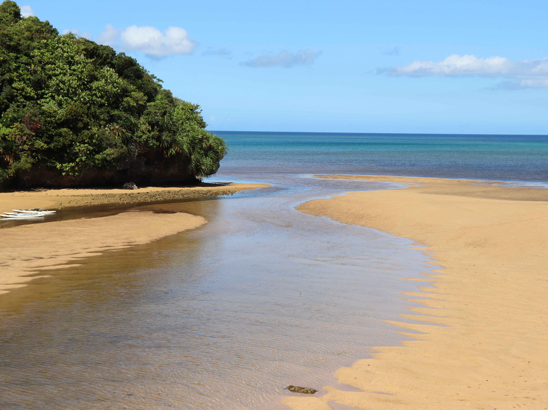 Rhizophoraceae Plant Community of Fukidogawa River-石垣市必去景点