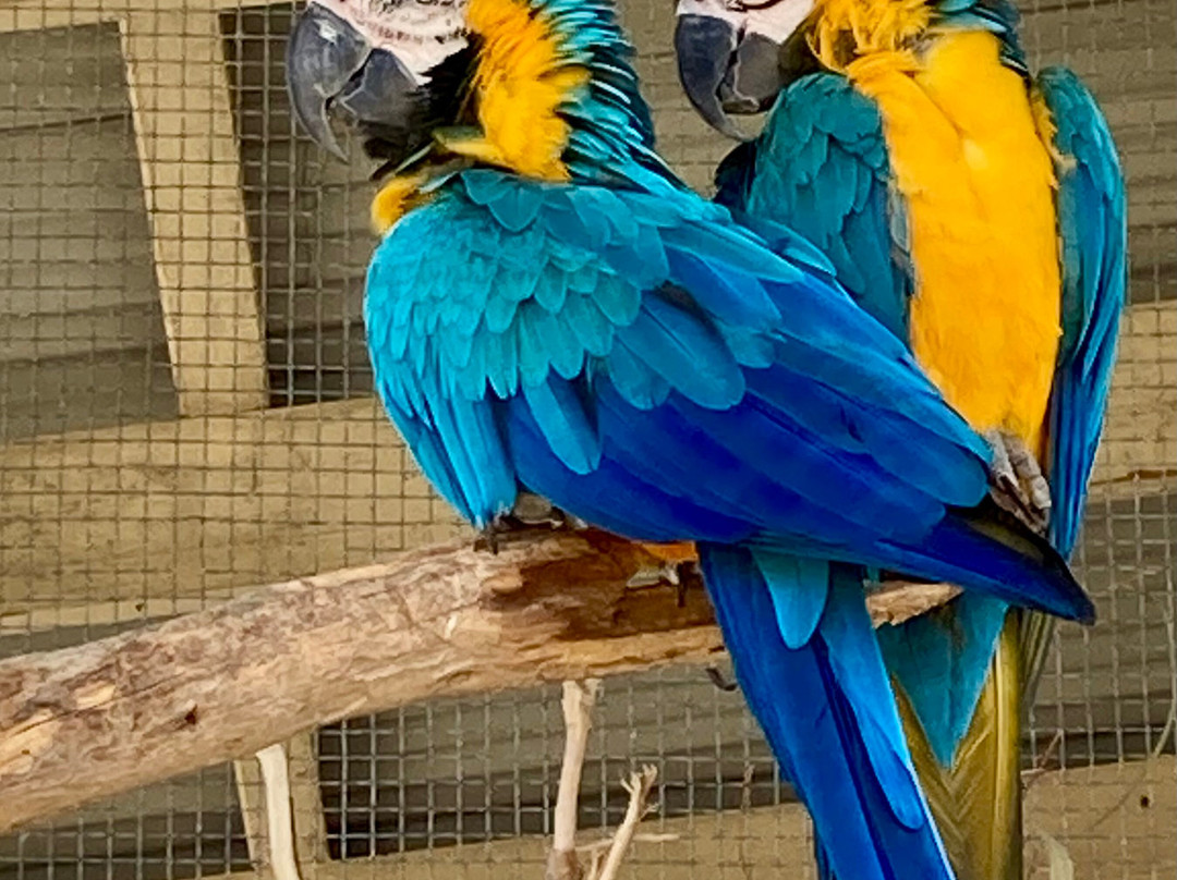 The Funky Farm-Hastings必去景点