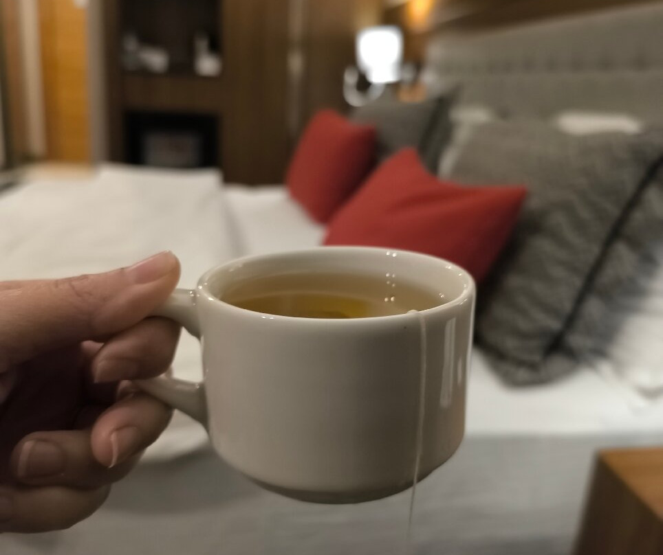 Ramada by Wyndham Nigde主图