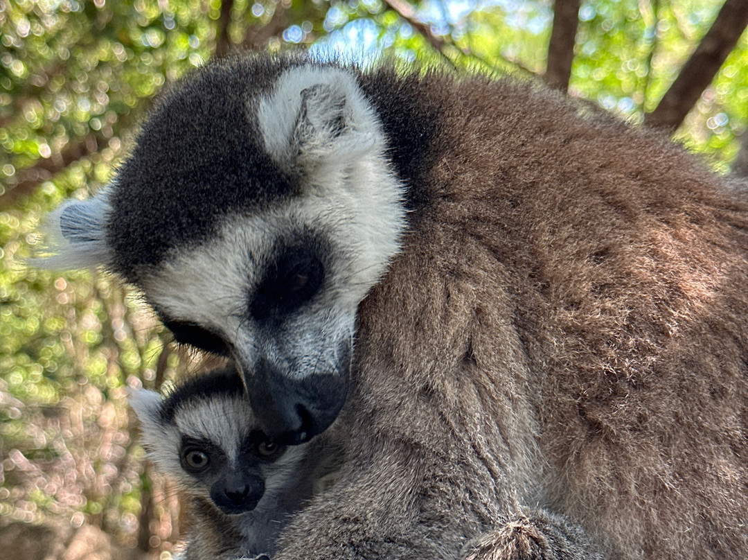 Namiouh Dago tour-安齐拉贝必去景点