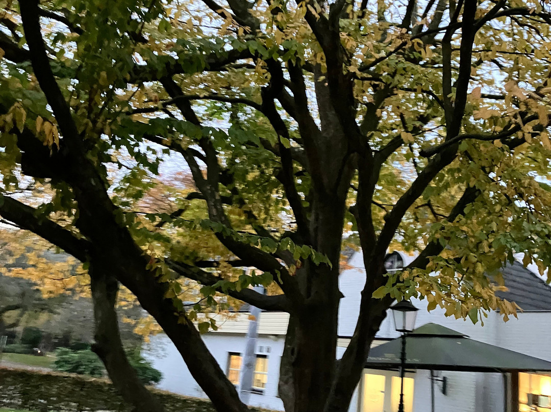 Stadswandelpark-埃因霍温必去景点