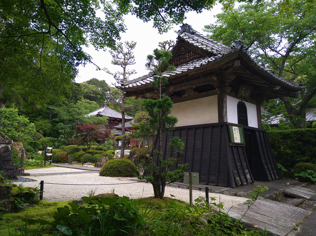 Ryotan-ji Temple-滨松市必去景点