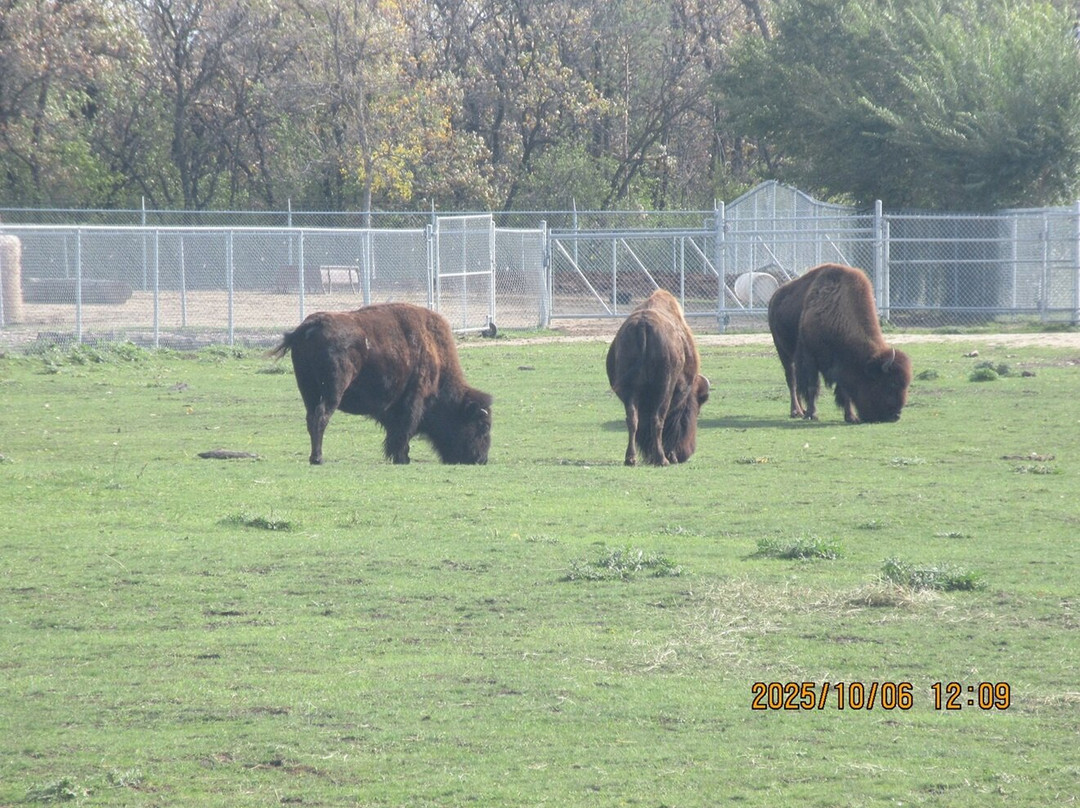 Assiniboine Park Zoo-温尼伯必去景点