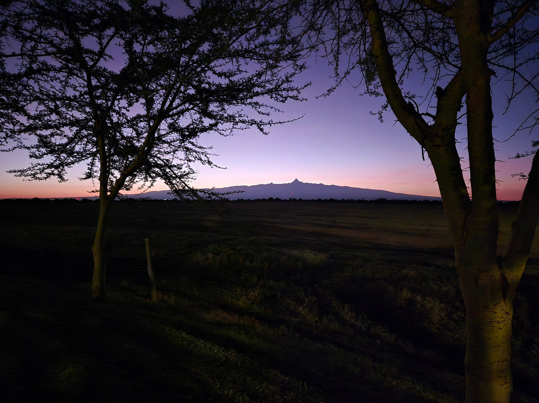 African Horizons-内罗毕必去景点