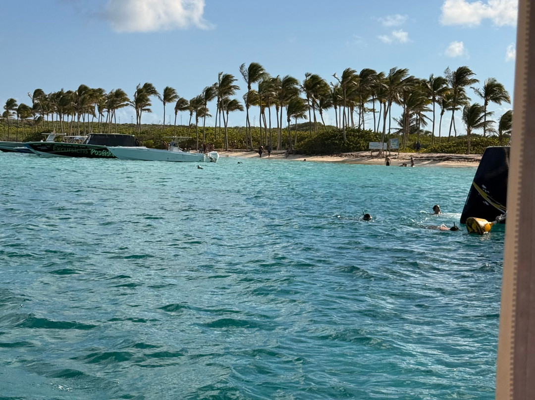 Tarzan Excursion Guadeloupe-Sainte-Anne必去景点
