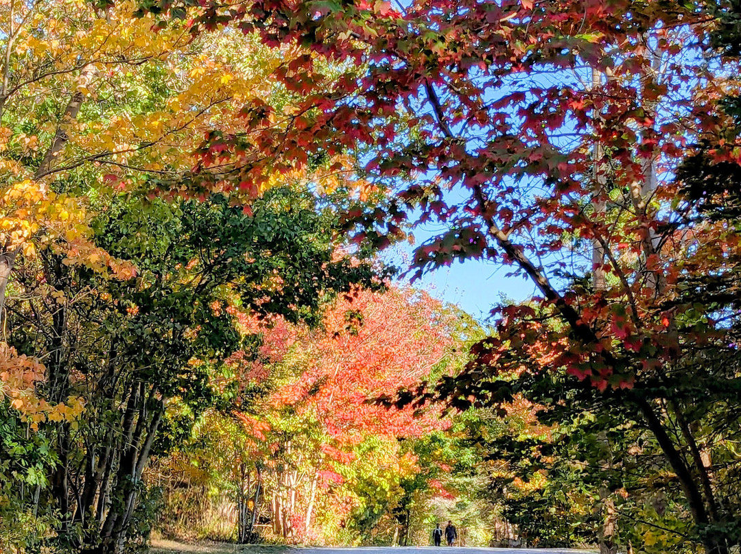 快乐点公园-哈利法克斯必去景点