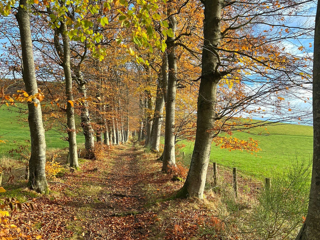 Douneside House主图