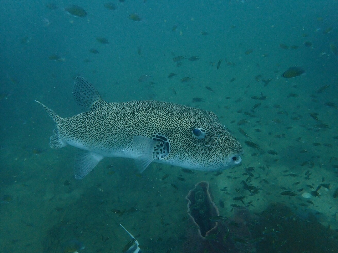Koh Chang Divers-象岛必去景点