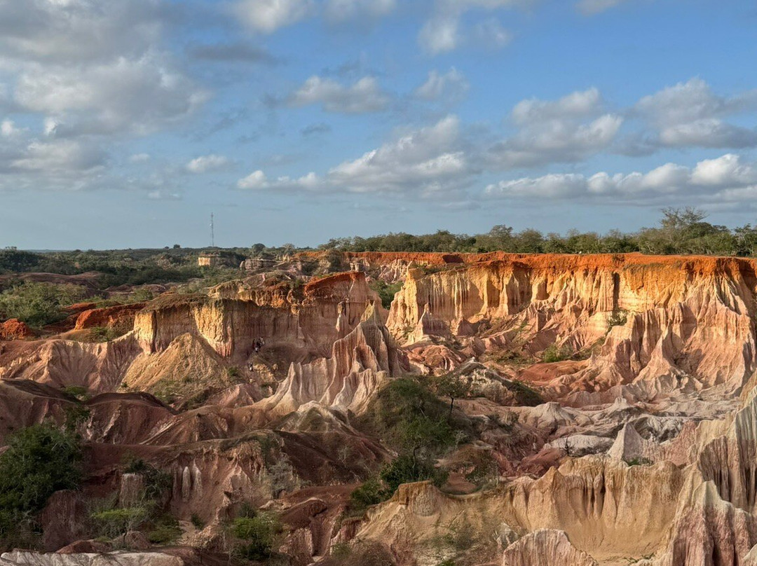 Kenya Safaris con Beka Day Tours-瓦塔木必去景点