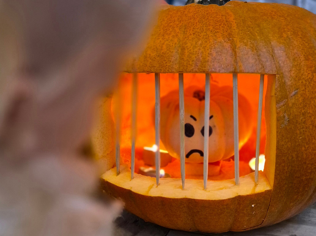 Macdonalds Farm-帕兹托必去景点