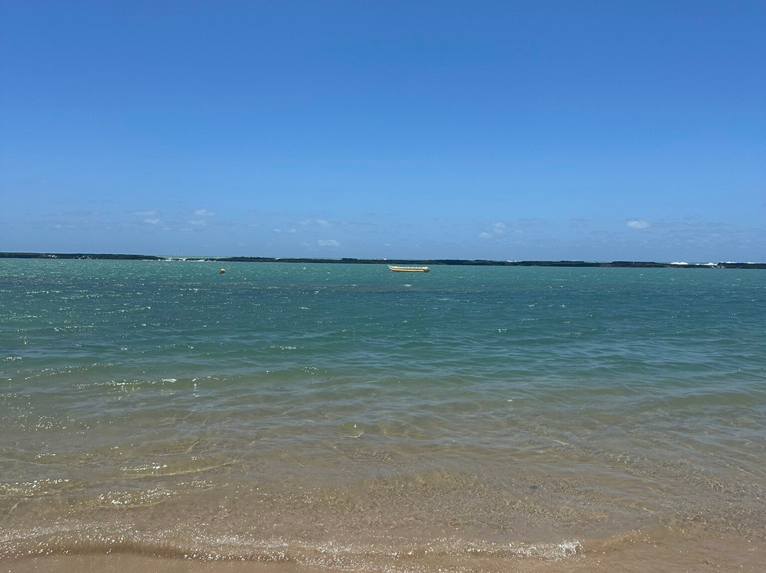 Praia do Francês-Praia do Frances必去景点