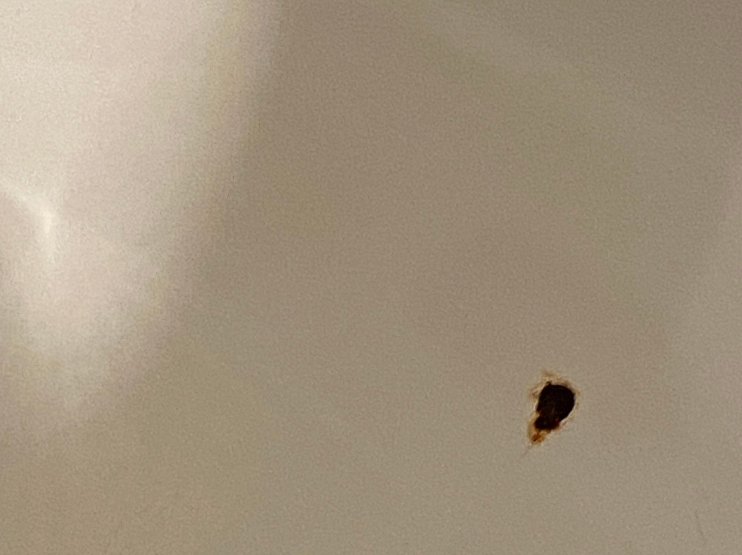 Comfort Inn Alton near I-255主图