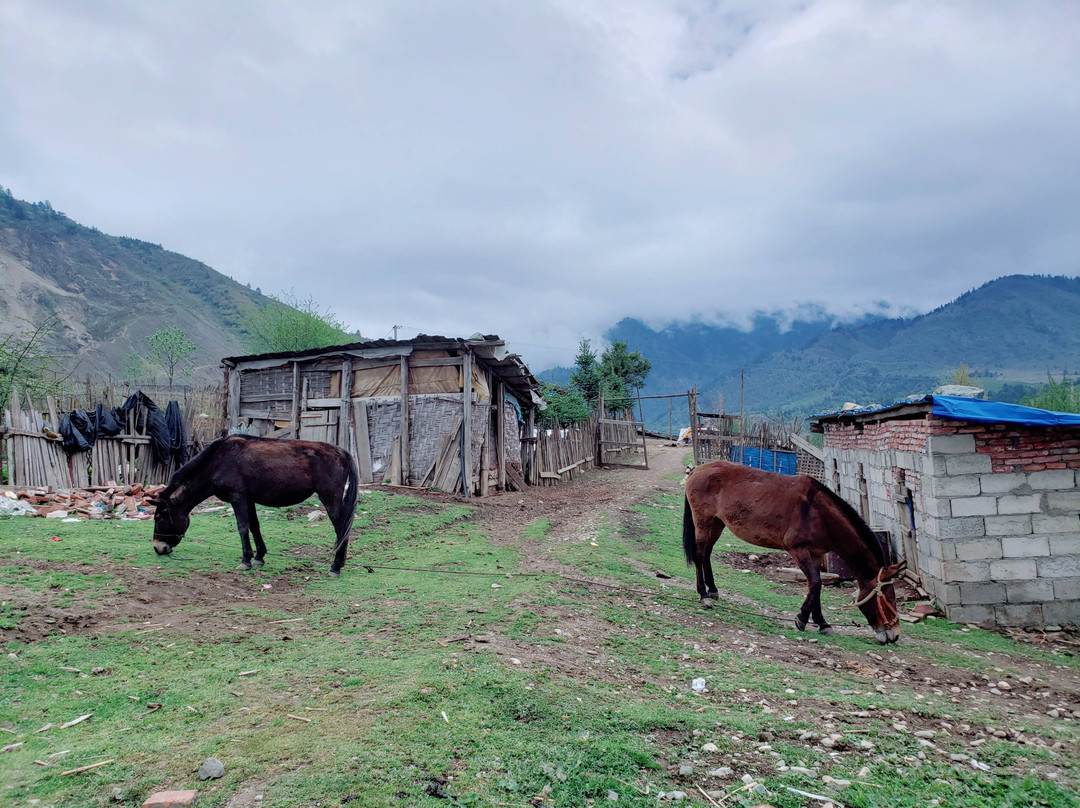 冶勒自然保护区-冕宁县必去景点
