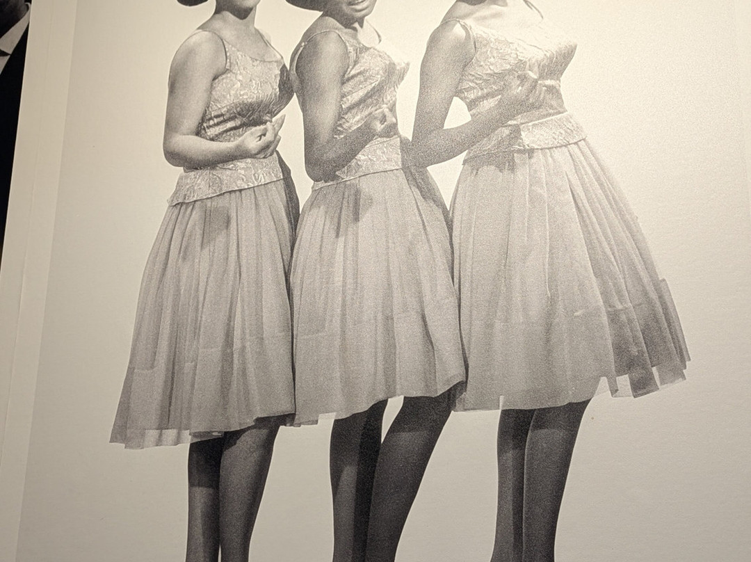 摩城博物馆-底特律必去景点