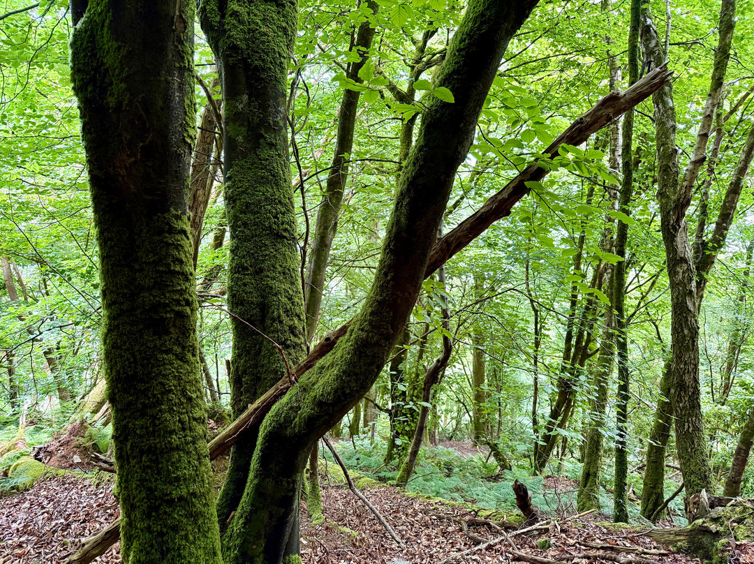 Hollerday Hill-林顿必去景点