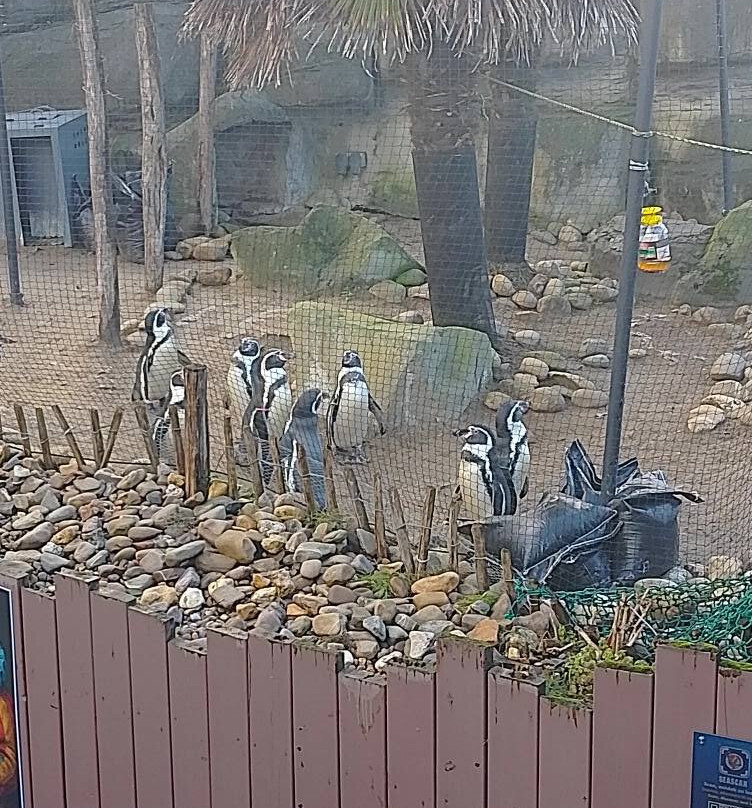 Sea Life Blankenberge-布朗肯堡必去景点