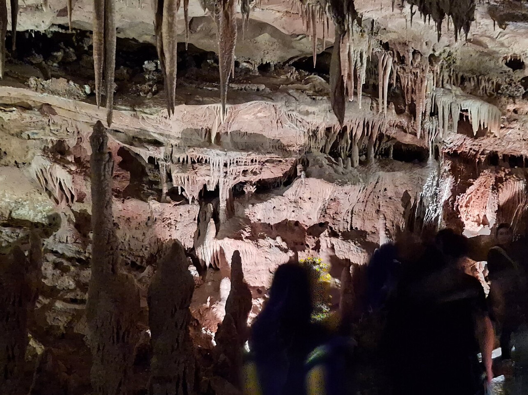 Inner Space Cavern-Georgetown必去景点