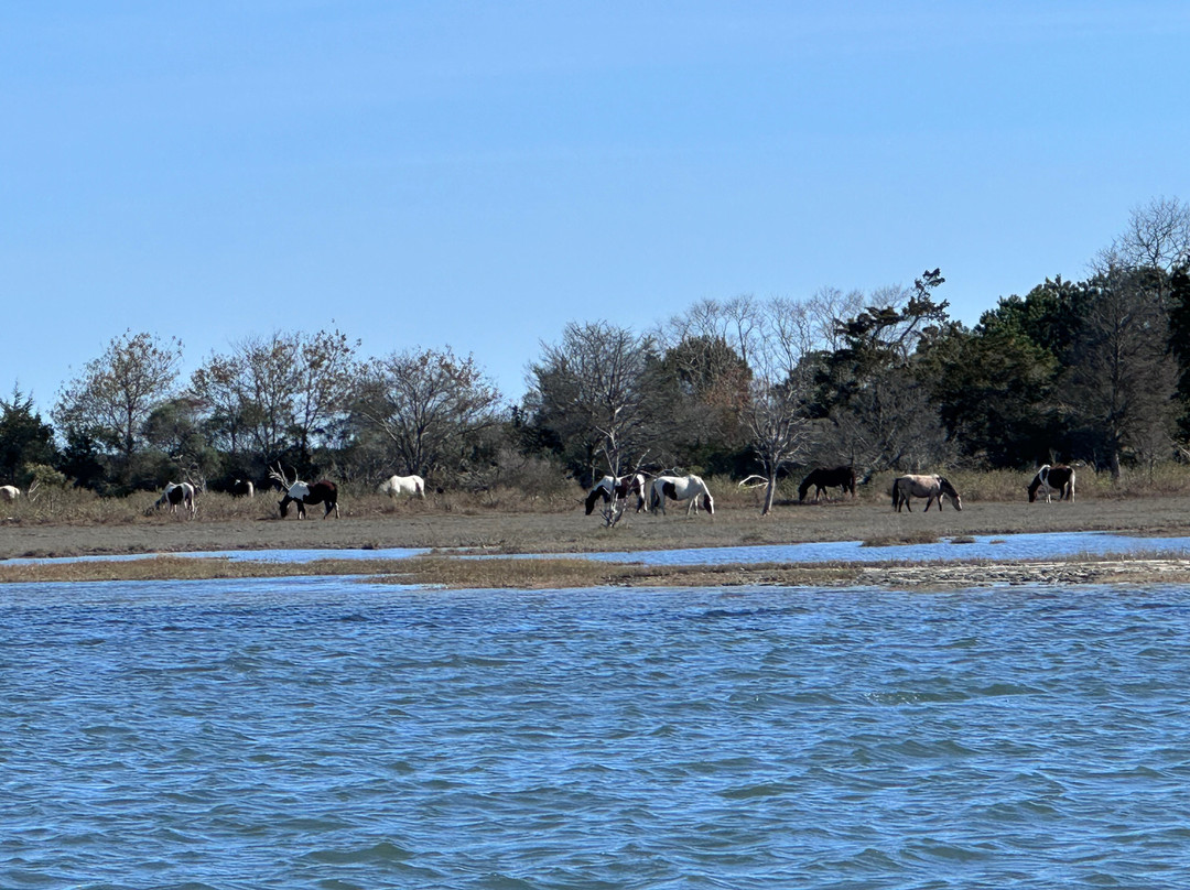 Captain Dan's Around the Island Tours-钦科蒂格岛必去景点