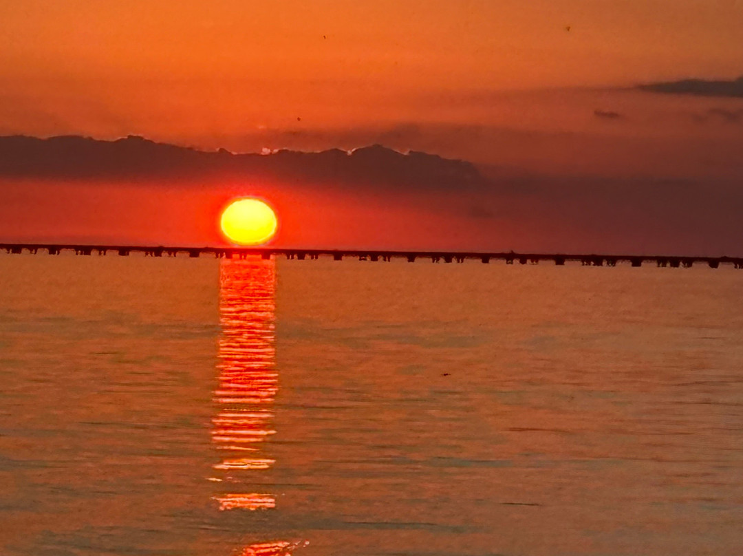 Delaune Sailing Charters-Mandeville必去景点