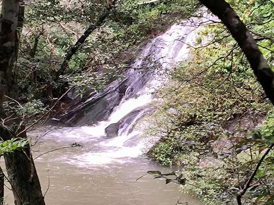 Blue Crab Water Adventures and Tours-塔马林多必去景点