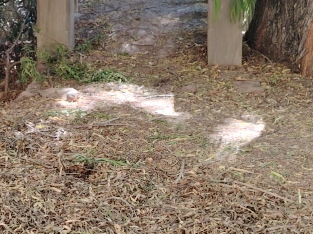 Cavas Del Valle-Monte Grande必去景点