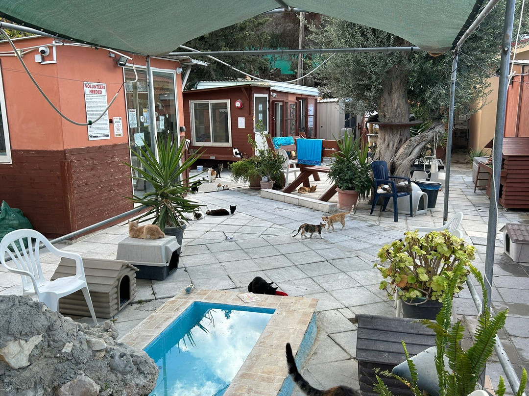 Tala Monastery Cat Park-Tala必去景点