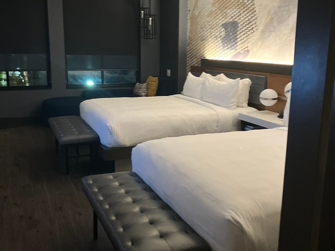 Marriott Owings Mills Metro Centre主图