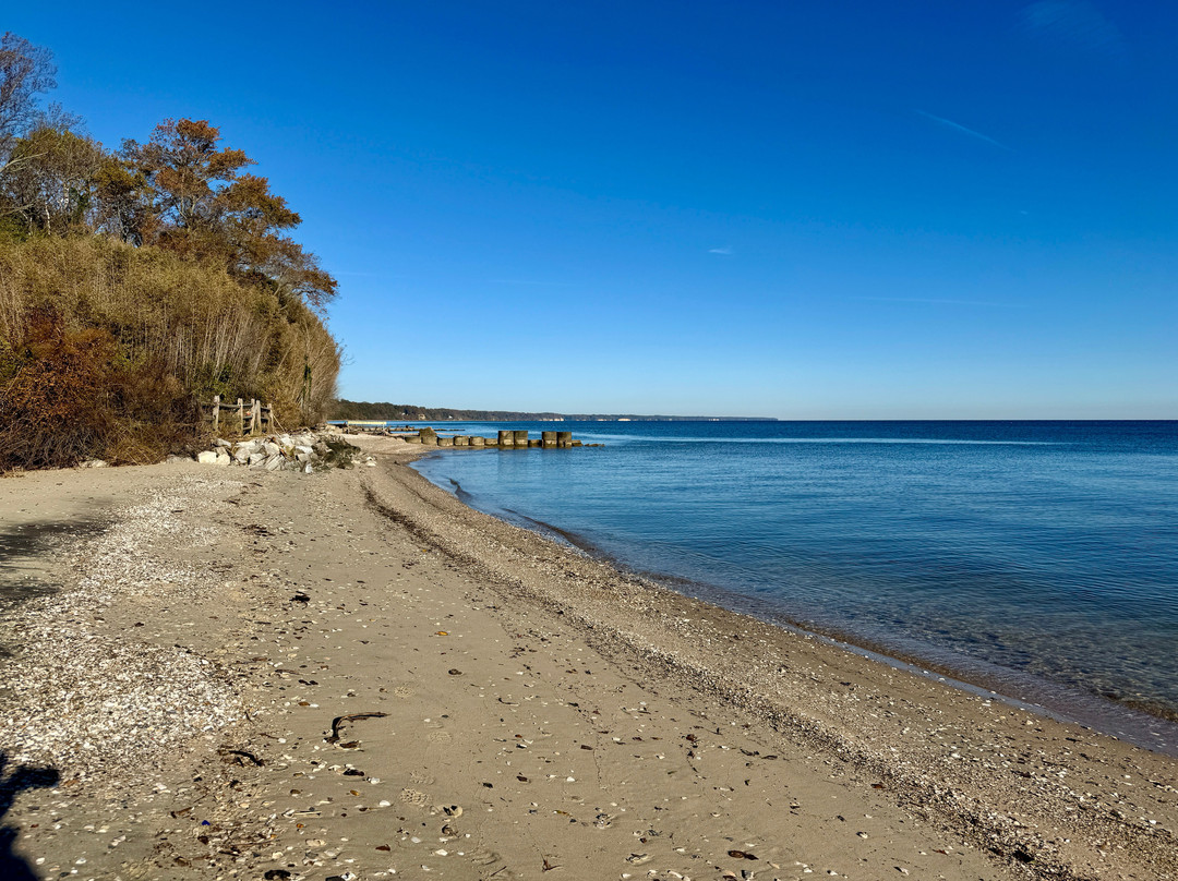 Chesapeake Heritage And Paleontology Tours