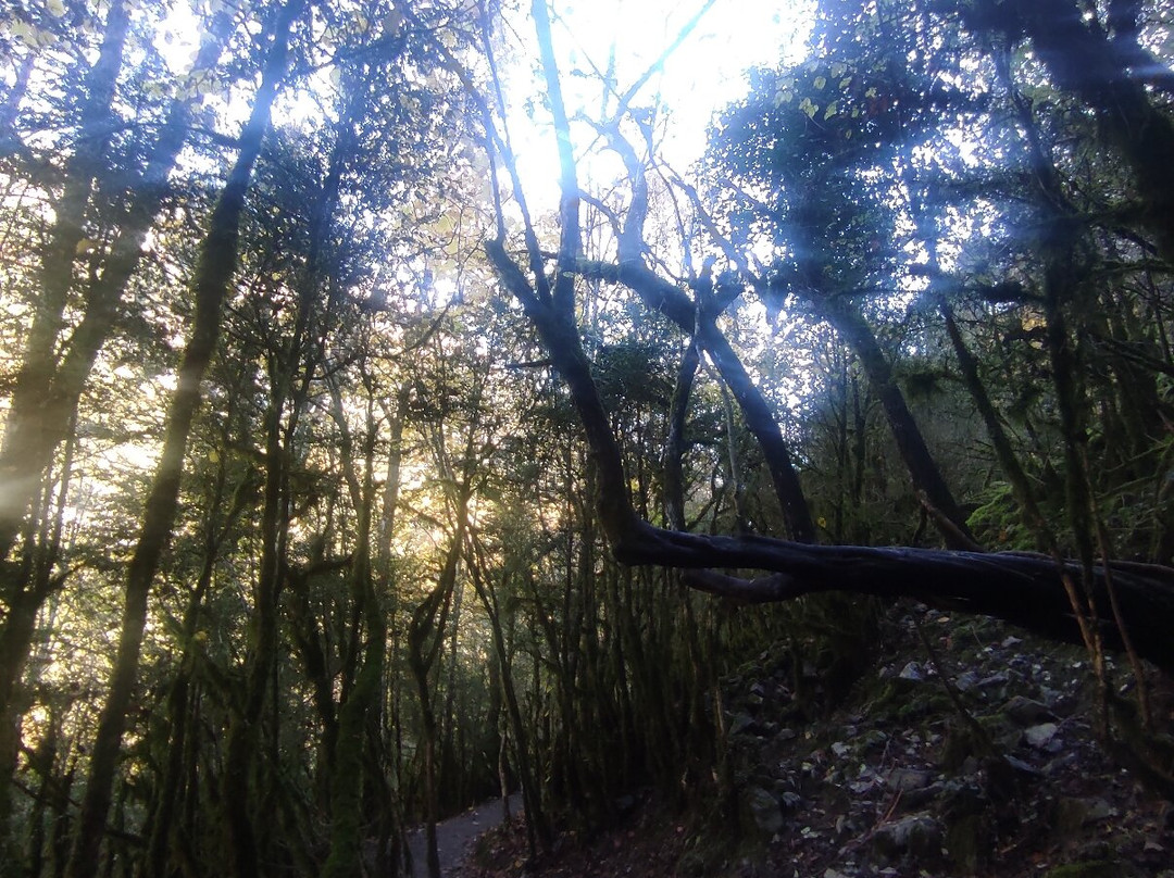 Canon de Anisclo-埃斯卡洛纳必去景点