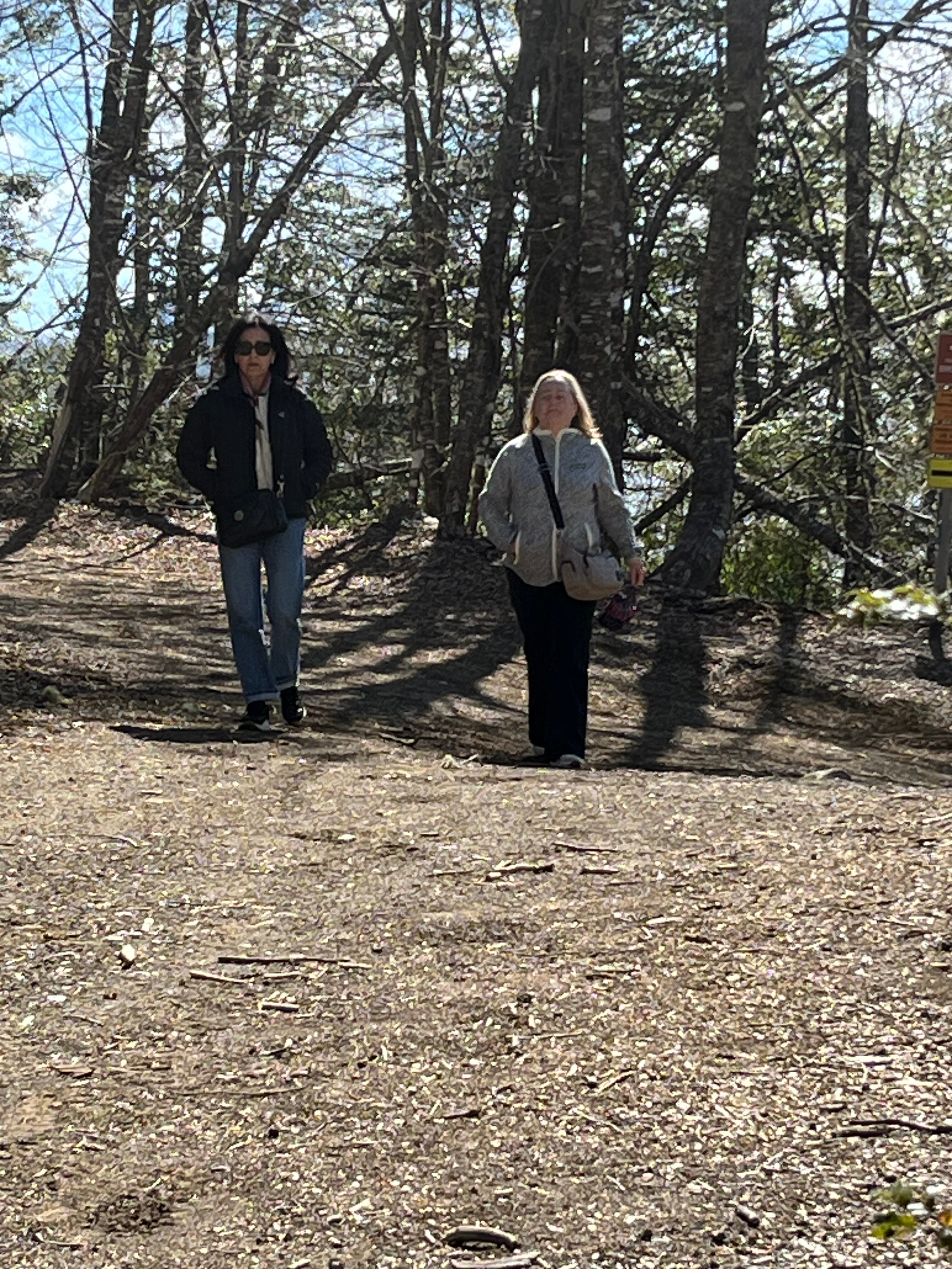 Huilo Huilo Nothofagus Hotel-官方