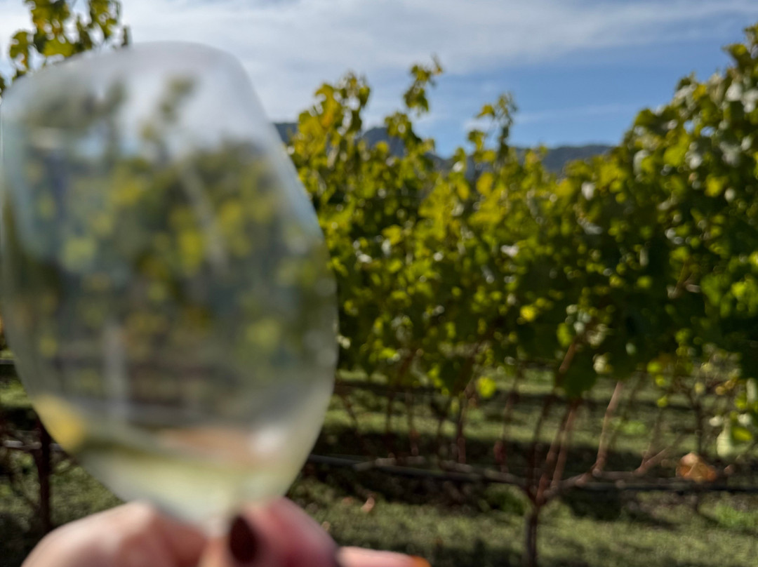 Hill Family Estate-扬特维尔必去景点