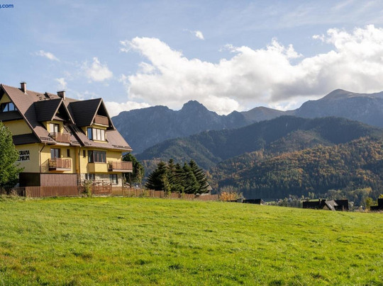 Panorama Premium主图