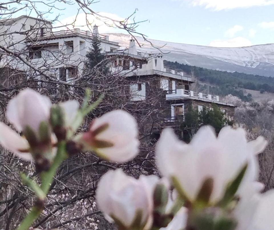 Albunan酒店住宿-La Posada del Altozano