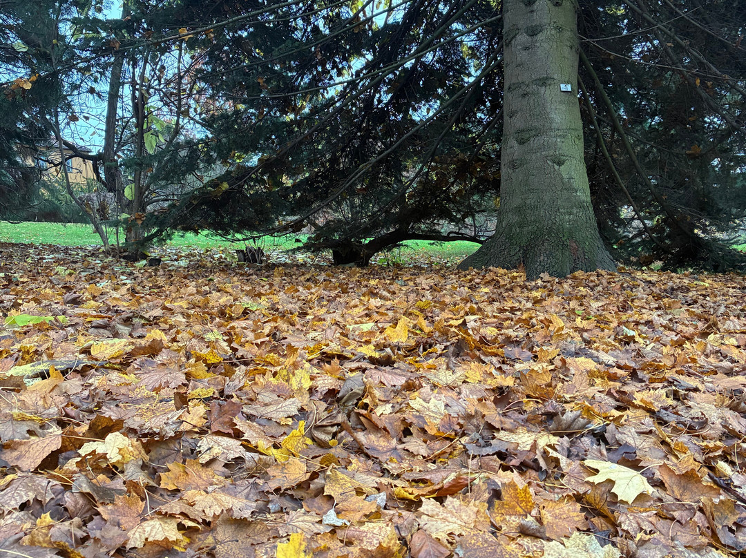 Botanical Garden-奥斯陆必去景点