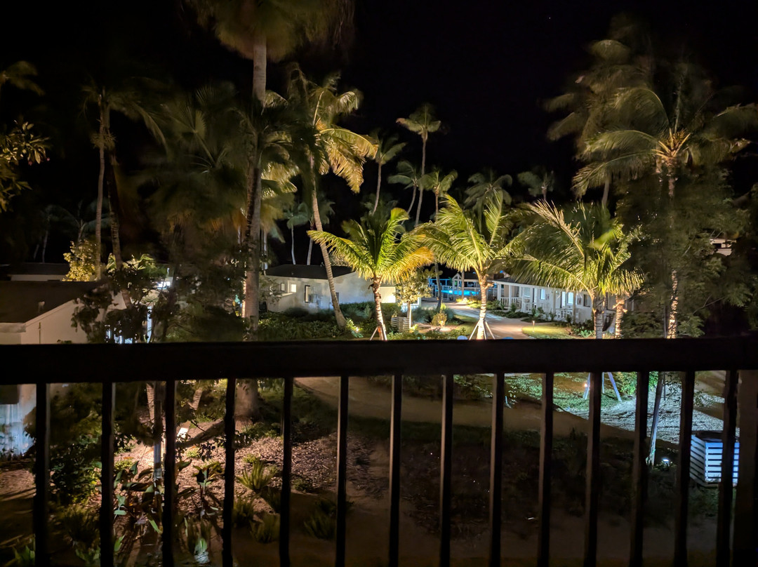 松树&棕榈树度假极度主图