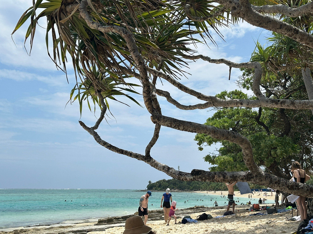 Mystery Island-Aneityum Island必去景点