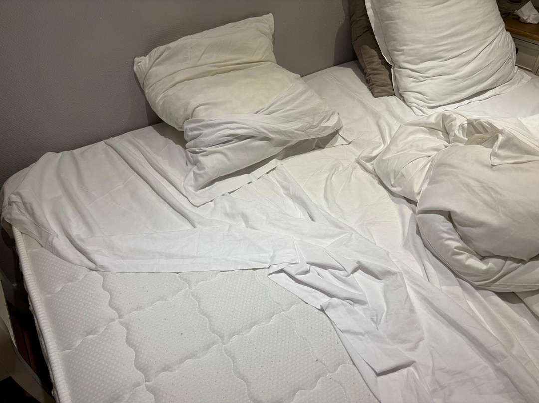 Hôtel Le Mulberry主图