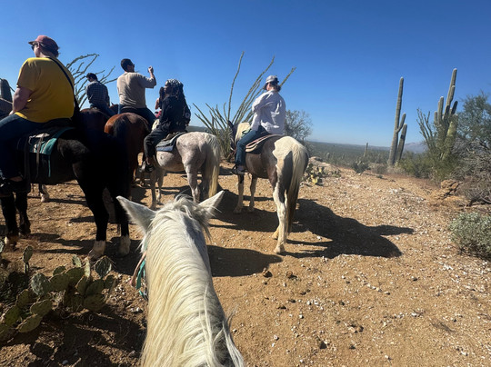 Rockin' Star Ranch-图森必去景点