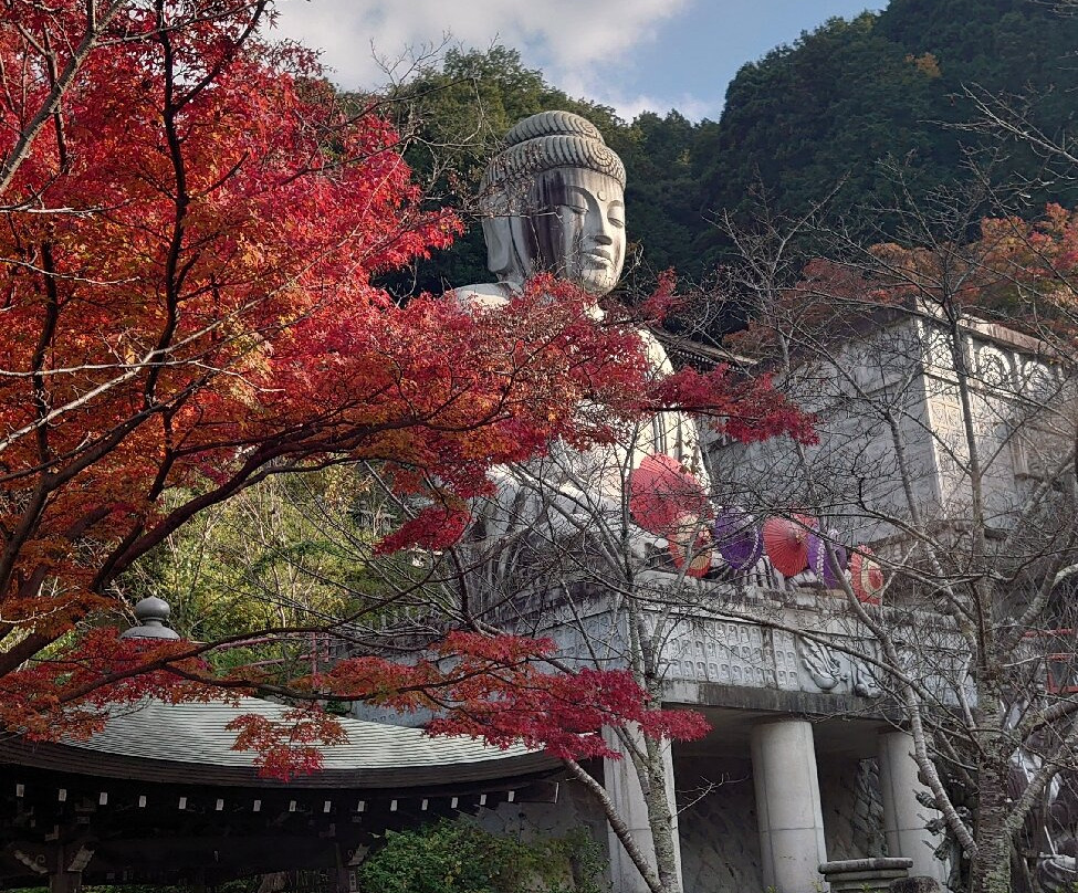 Tsubosaka-dera Temple-高取町必去景点