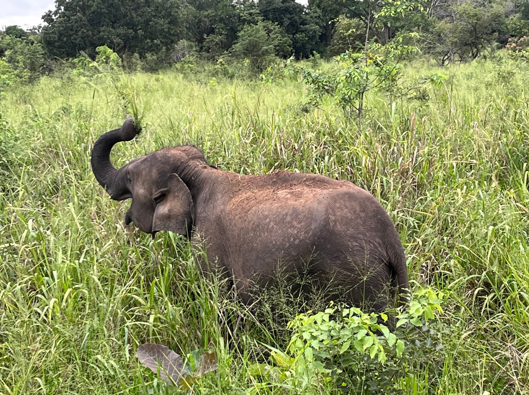 Hiriwadunna Village & Jeep Safari No 4-Hiriwadunna必去景点