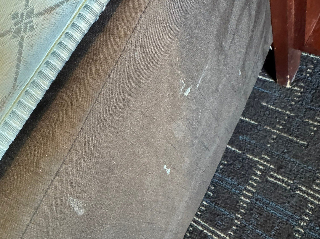 Comfort Inn & Suites - Lees Summit主图