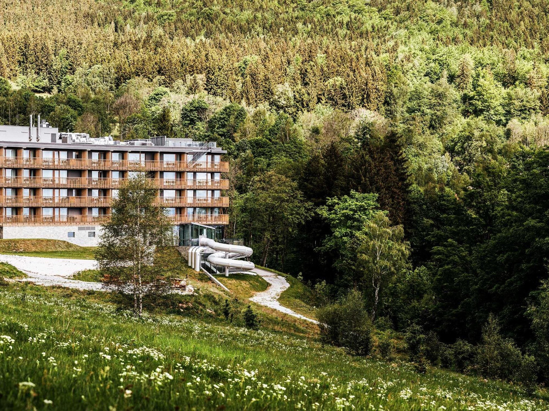 斯克拉斯卡波伦巴酒店住宿-Radisson Hotel Szklarska Poręba