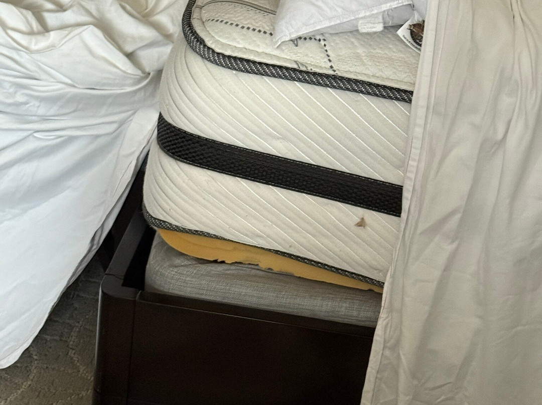 The Ritz-Carlton, St. Louis主图