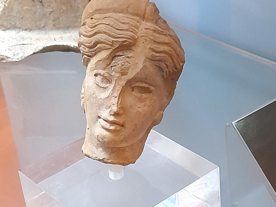 Museo Claudio Faina-奥尔维耶托必去景点