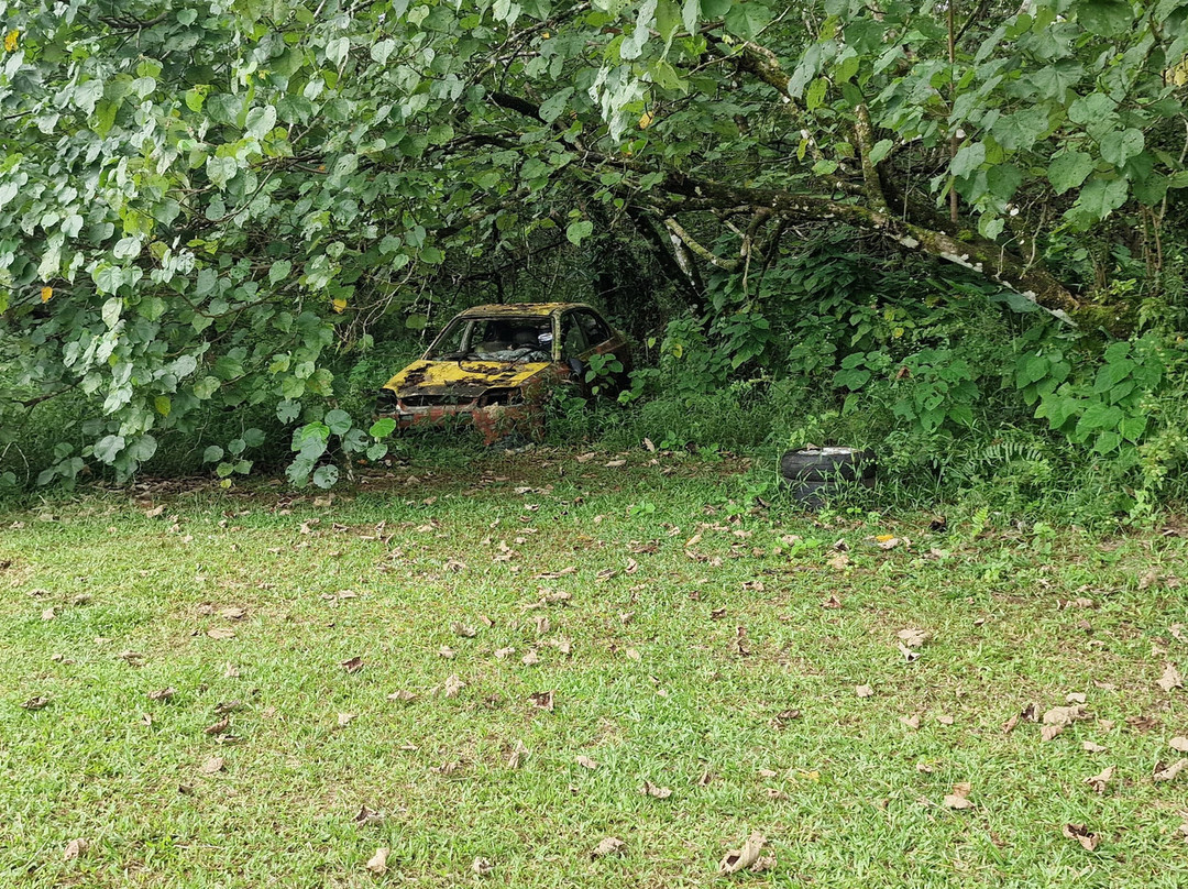 Fuipisia Waterfall-Upolu必去景点